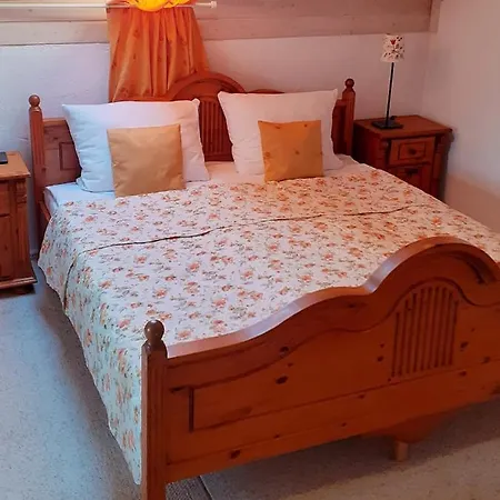 Apartament Dzika Gęś *