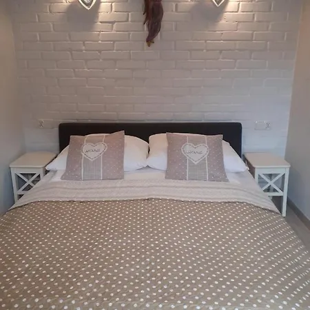 Apartament Dzika Gęś