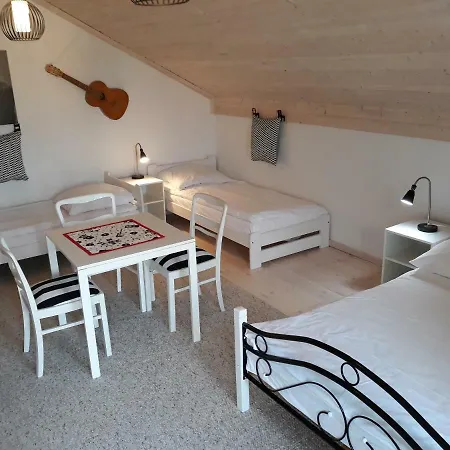 Apartament Dzika Gęś *